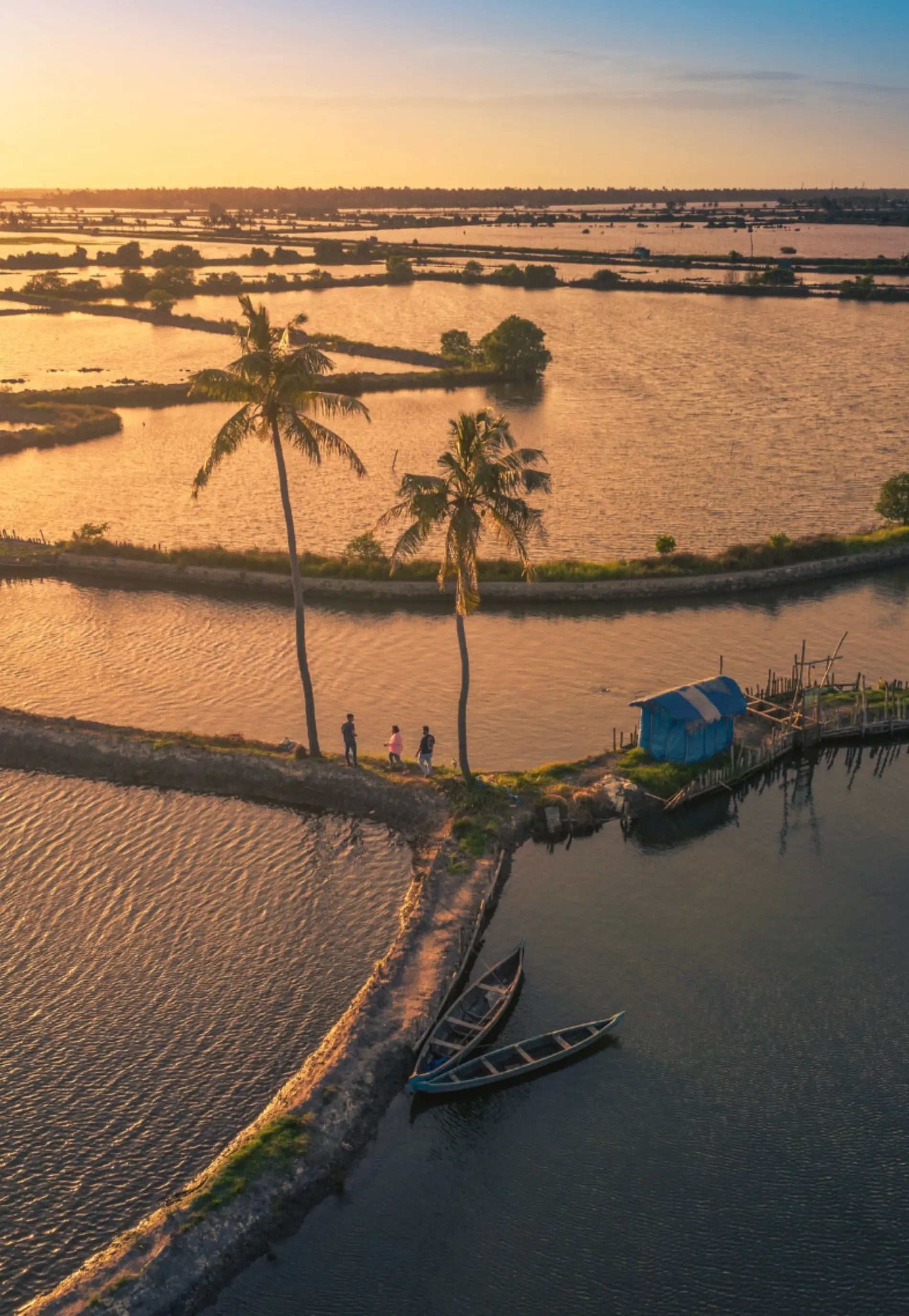 Kala Cotton Kadamakkudy Jacket