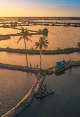 Kala Cotton Kadamakkudy Jacket image 3